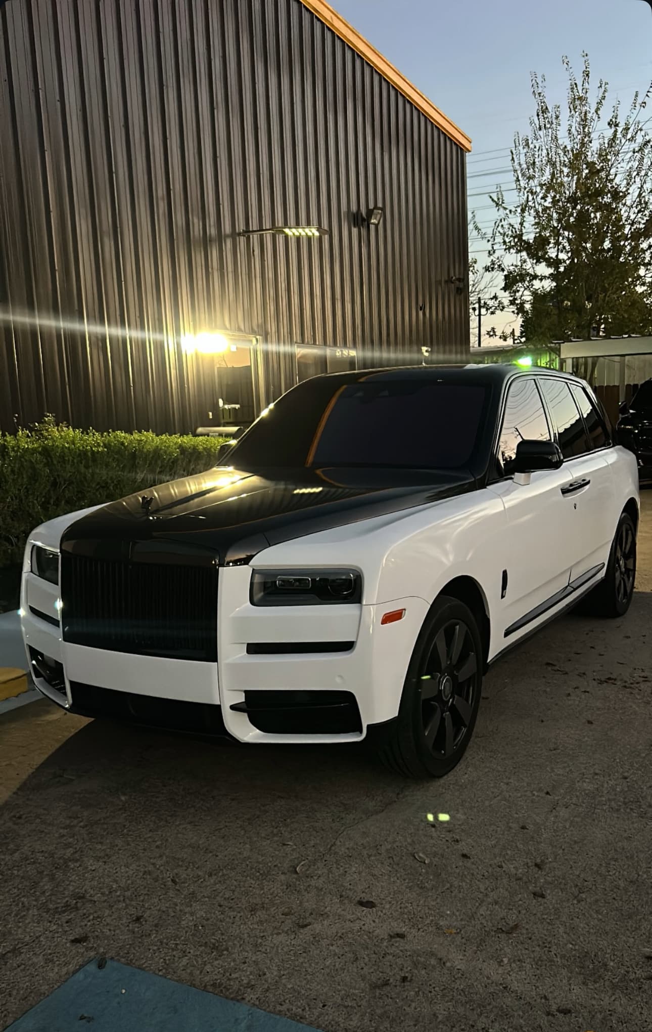 Paint & Color Concepts